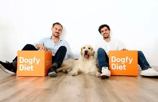 El Auge de la Alimentación Premium en el Cuidado de Perros en España