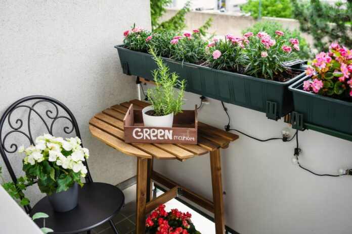 Guía Esencial para la Elección y Cuidado de tu Mascota Las mejores plantas con flores para balcones guía de elección y cuidados