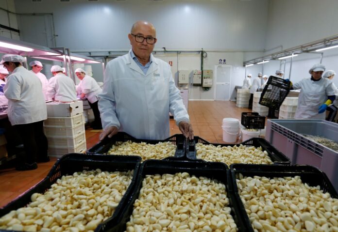 La Abuela Carmen Celebra Éxito en Una de las Mejores La Abuela Carmen valora positivamente una de las mejores campañas de ajo de los últimos años