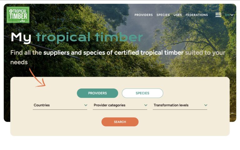 Un Comienzo Prometedor para My Tropical Timber: La Plataforma de ATIBT para Profesionales de Madera Tropical