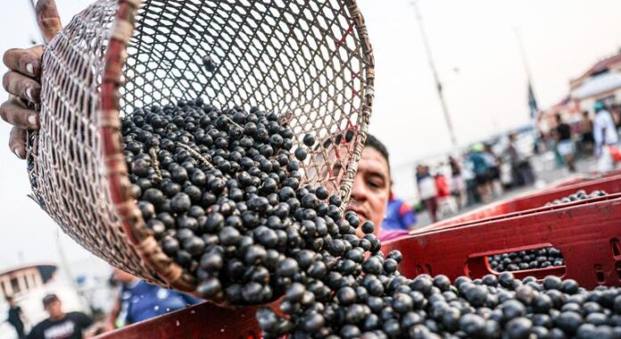 América Latina: Transformando su Potencial Agroalimentario en Inversiones para el América Latina busca convertir su potencial agroalimentario en inversiones para el campo