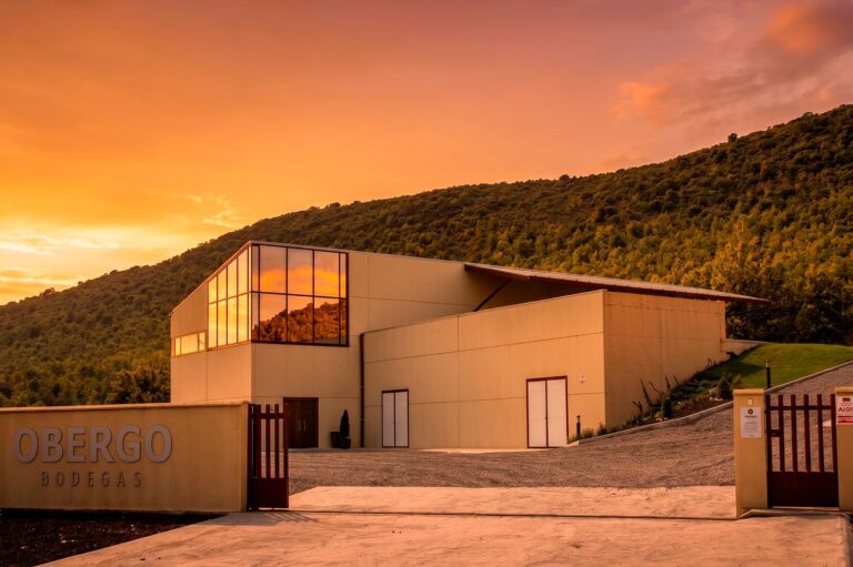 Obergo Resalta el Enoturismo en el Somontano como Experiencia Clave para el Verano