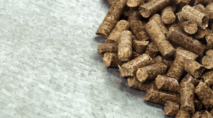 Optimización de la Alimentación Animal en Verano: La Importancia del Bifeedoo destaca la importancia del pienso ecológico para optimizar la alimentación animal durante el verano
