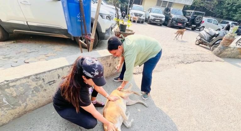 Chile se convierte en el primer país de América del Sur en eliminar la rabia transmitida por perros