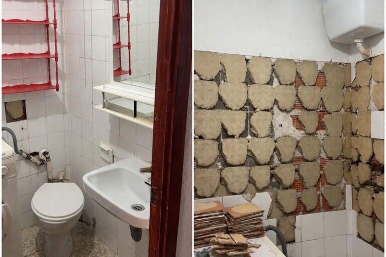 Mi Baño Favorito, Sin Duda