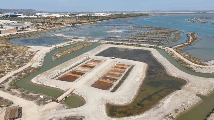 Aponiente Impulsa un Proyecto Pionero de Carbono Azul en la Aponiente impulsa un proyecto pionero de carbono azul en la Salina San José