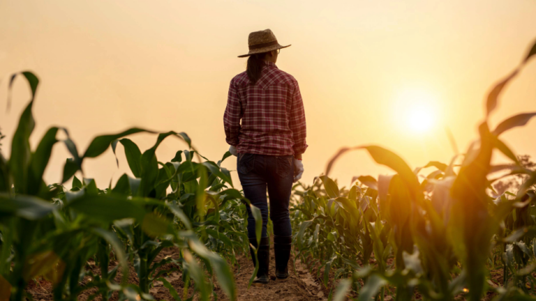 Mujeres a Cargo: El 17% del Área Agrícola Utilizada en la UE